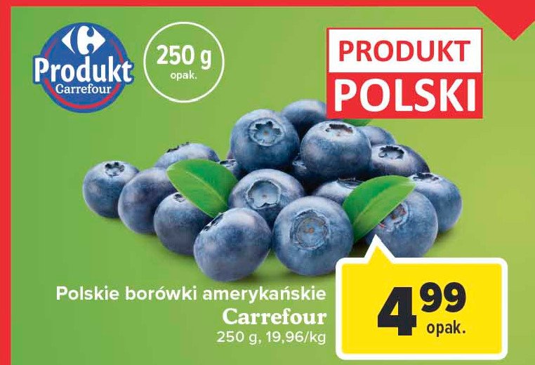 Bor Wki Ameryka Skie Carrefour Classic Cena Promocje Opinie