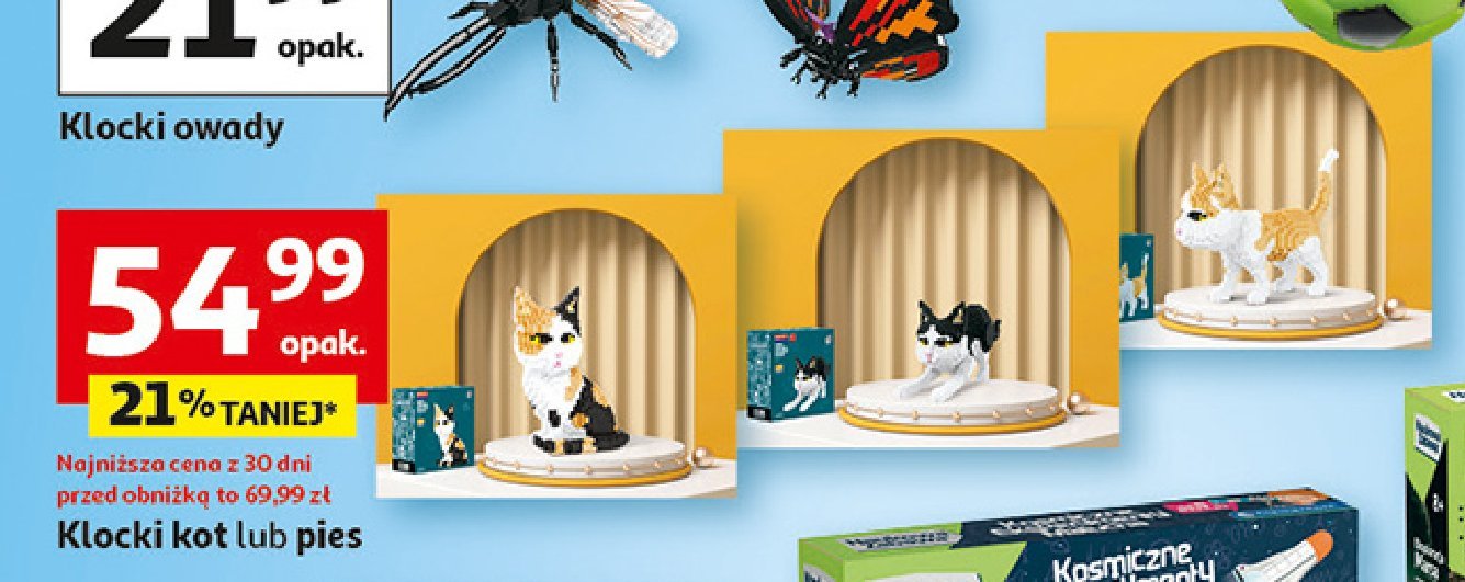 Klocki pies corgi Qbi promocja