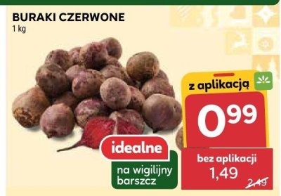 Buraki czerwone promocja w Stokrotka