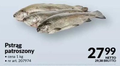 Pstrąg patroszony promocja w Makro