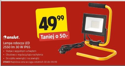 Lampa robocza LED 2550 lm 30 W IP65 Anslut promocja w Jula