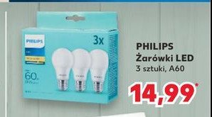 Żarówka led 60w e27 kula Philips promocja w Kaufland