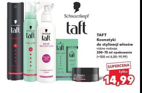 Puder do włosów Taft true volume promocja