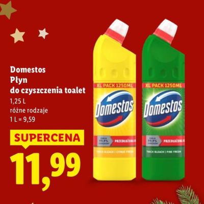 Płyn do czyszczenia toalet Domestos różne rodzaje 1,25L promocja w Lidl