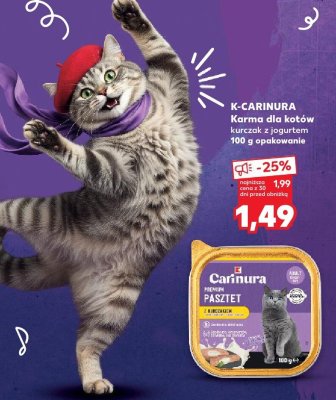 Karma dla kotów kurczak z jogurtem promocja w Kaufland