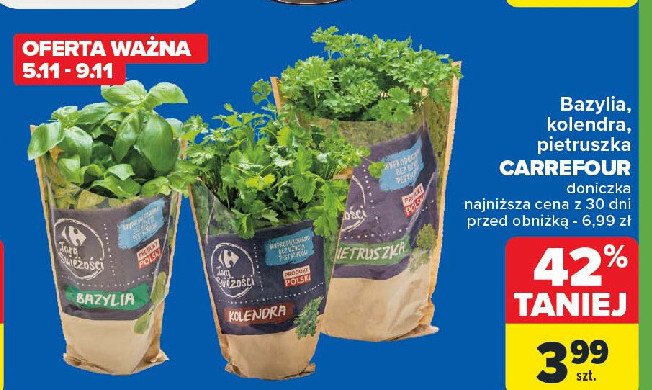 Bazylia Carrefour targ świeżości promocja