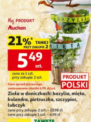 Zioła do donic Bazylia, mięta, kolendra, pietruszka, szczypior, lubczyk promocja w Auchan