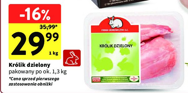 Kr贸lik dzielony Borowczyk promocja