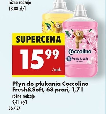 P艂yn do p艂ukania silk lily Coccolino fresh & soft promocja