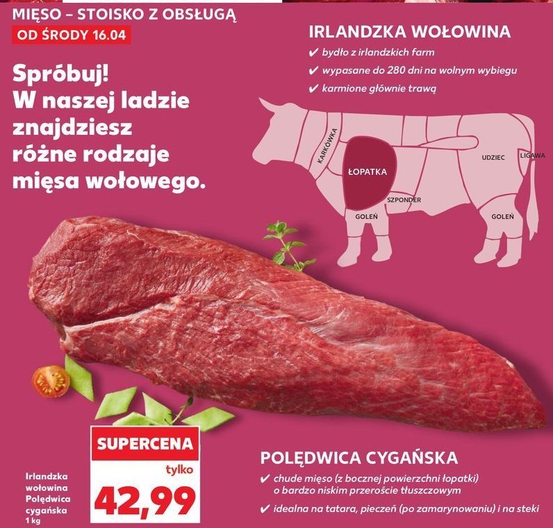 Pol臋dwica cyga艅ska promocja