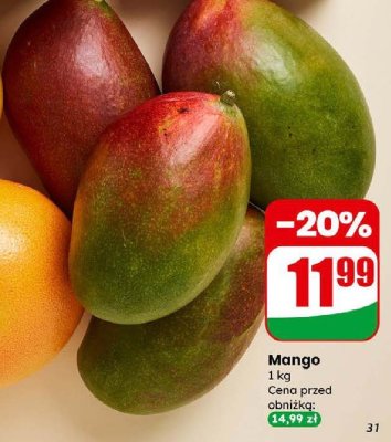 Mango promocja w Dino