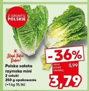 Sałata rzymska mini K-classic stąd takie dobre! promocja