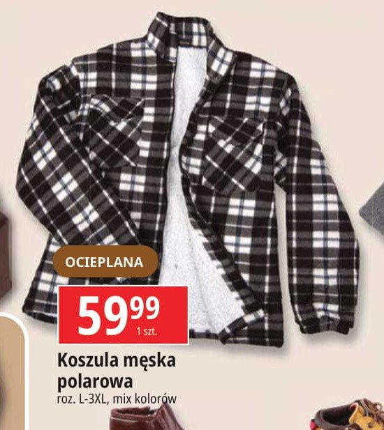 Koszula męska polarowa promocja