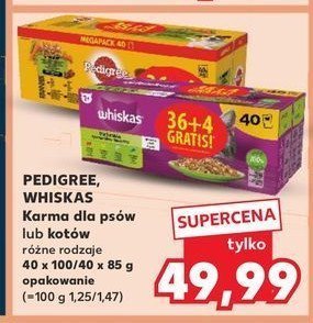 Karma dla kota mix smaków Whiskas promocja