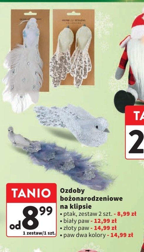 Paw biały promocja