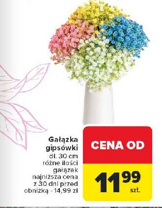 Gipsówka gałązka promocja w Carrefour