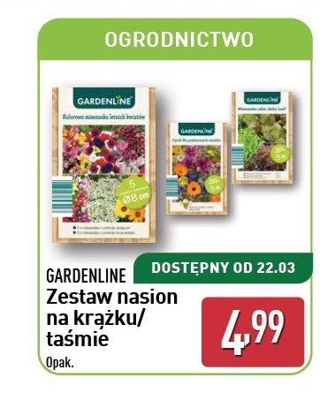 Zestaw nasion na krążku GARDEN LINE promocja w Aldi