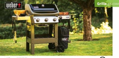 Katalog Grille 2025, strona 4 promocja w Leroy Merlin