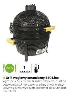 Grill węglowy ceramiczny BBQ Line promocja w Leroy Merlin