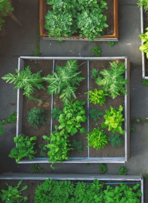 Katalog Ogrody, tarasy i balkony 2025, strona 5 promocja w Castorama