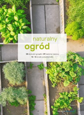 Katalog Ogrody, tarasy i balkony 2025, strona 6 promocja w Castorama