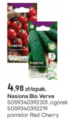 Nasiona Bio Verve ogórek, pomidor Red Cherry promocja w Castorama