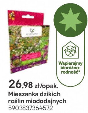 mieszanka dzikich roślin miododajnych promocja w Castorama