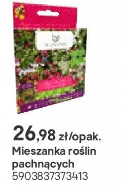 mieszanka roślin pachnących  promocja w Castorama
