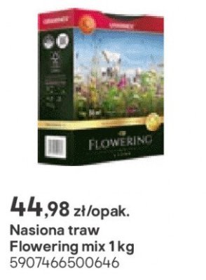 Nasiona traw Flowering mix 1 kg promocja w Castorama