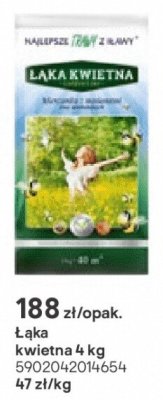 łąka kwietna 4 kg promocja w Castorama