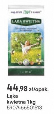 łąka kwietna 1 kg promocja w Castorama