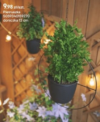 Pietruszka promocja w Castorama