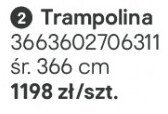 Trampolina promocja w Castorama