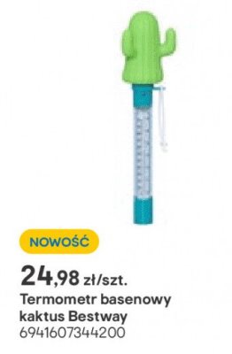 Termometr basenowy kaktus promocja w Castorama