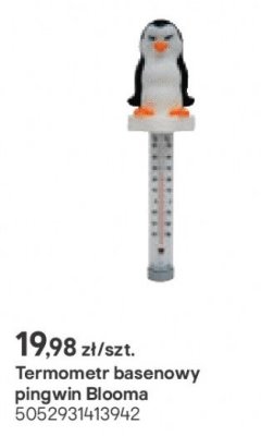 Termometr basenowy pingwin promocja w Castorama