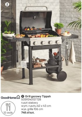 Grill gazowy Tippah promocja w Castorama