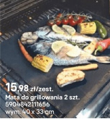 Mata do grillowania 2 szt. promocja w Castorama