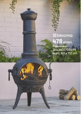 palenisko Blooma promocja w Castorama