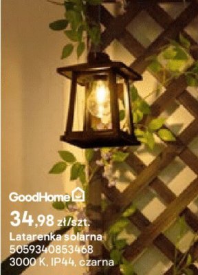 Latarenka solarna promocja w Castorama