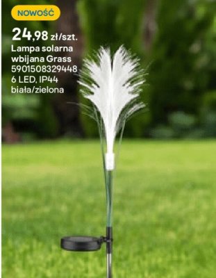Lampa solarna wbijana Grass promocja w Castorama