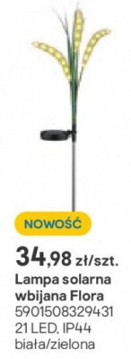 lampka solarna wbijana Flora promocja w Castorama