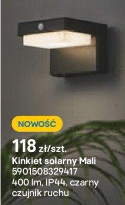 Kinkiet solarny Mali promocja w Castorama