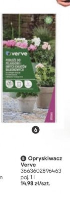 Opryskiwacz Verve promocja w Castorama