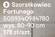 Szorstkowiec Fortunego promocja w Castorama