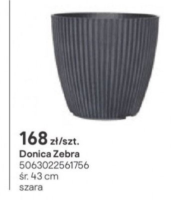 Donica Zebra promocja w Castorama