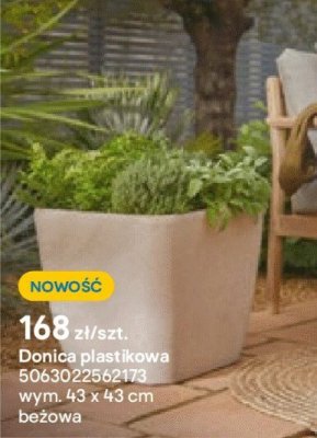 Donica plastikowa promocja w Castorama
