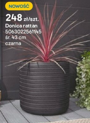 Donica rattan promocja w Castorama