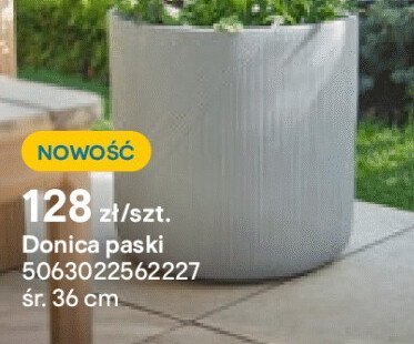 Donica paski promocja w Castorama