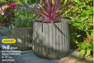 Donica Zeberka promocja w Castorama