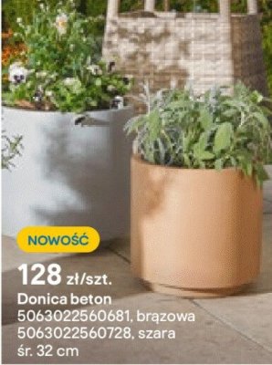 Donica beton promocja w Castorama